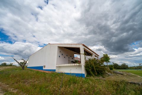 Finca i Avis, Portalegre, Avis - € 750.000 | Ref: 120121142213-73 - foto 39